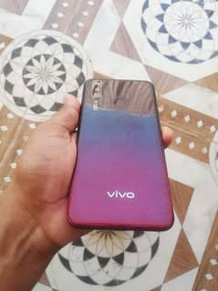 vivo