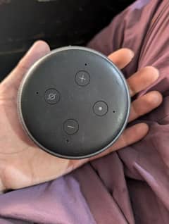 Alex Echo dot