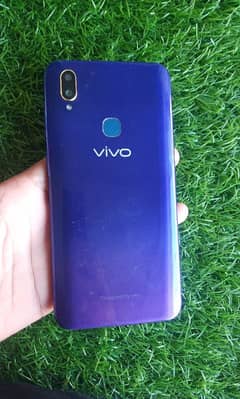 ViVo