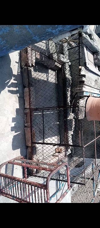 Heavy duty animal and bird cage pingra 2