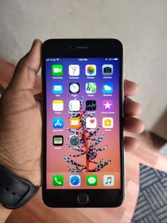 iPhone 6 plus 64gb official pta approved 0