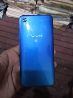 vivo