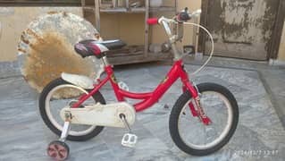 Kid Beautiful Bicycle | Condition 10/8 |