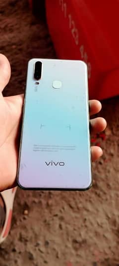 vivo