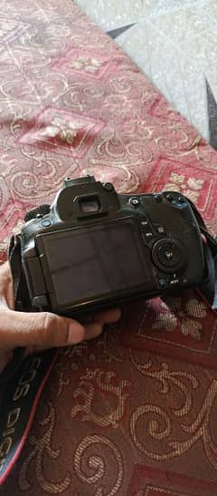 canon 60d body