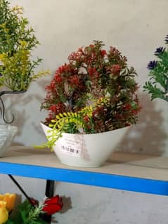 house decoration plants