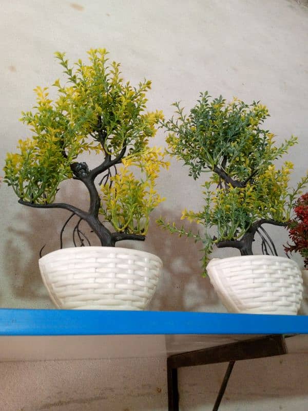 house decoration plants 4