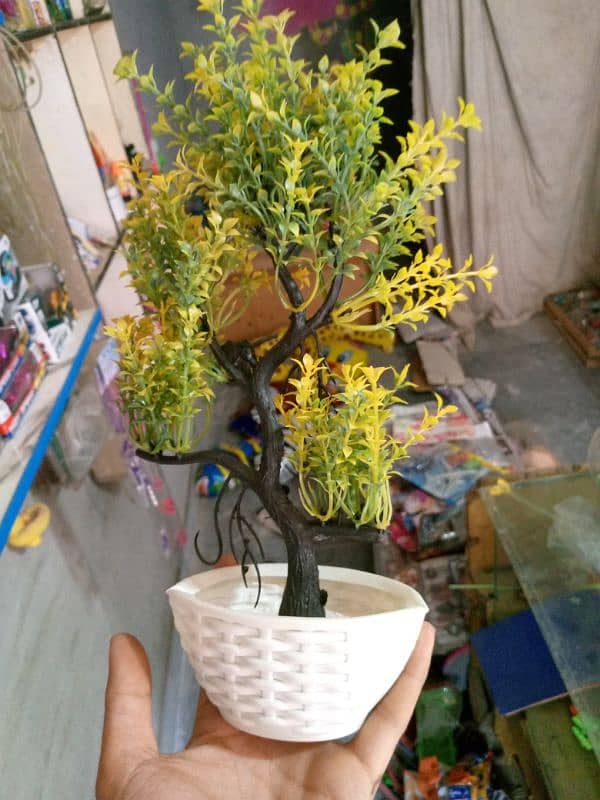 house decoration plants 5