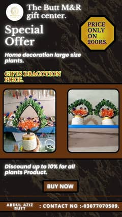 house decoration plants 0