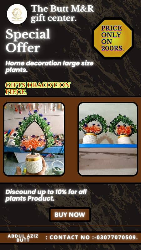 house decoration plants 0