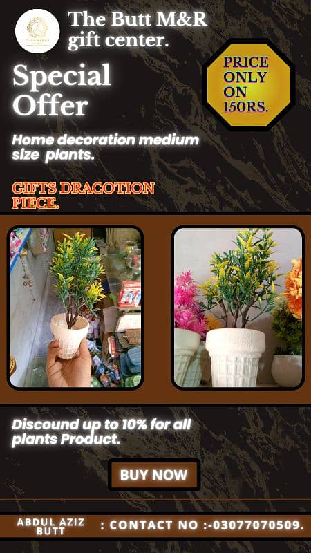 house decoration plants 1