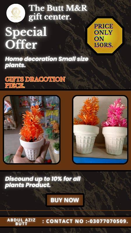 house decoration plants 2