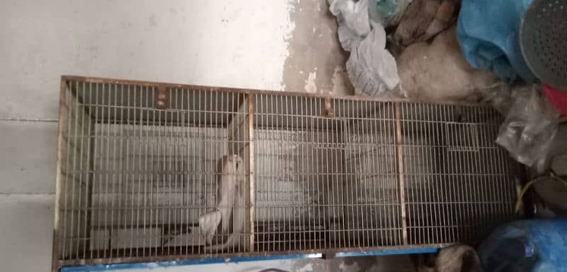 birds cages best price 0