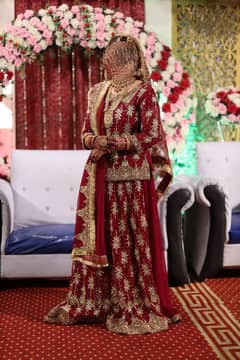 wedding sharara for reasonable