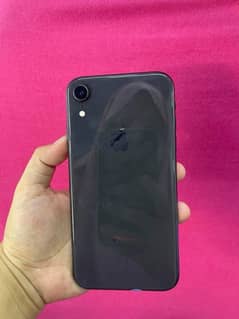 iPhone XR Urgent Sale Best Offer !!