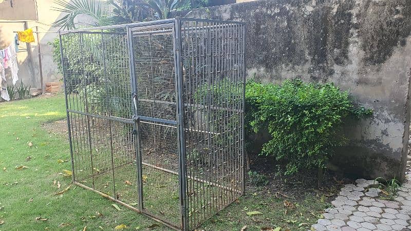 cage for sale 5