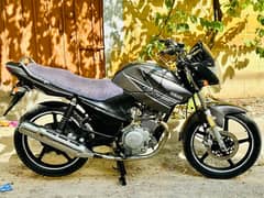 yamaha ybr punjab number