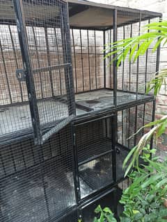 Pinjra/Cage for hens birds 0