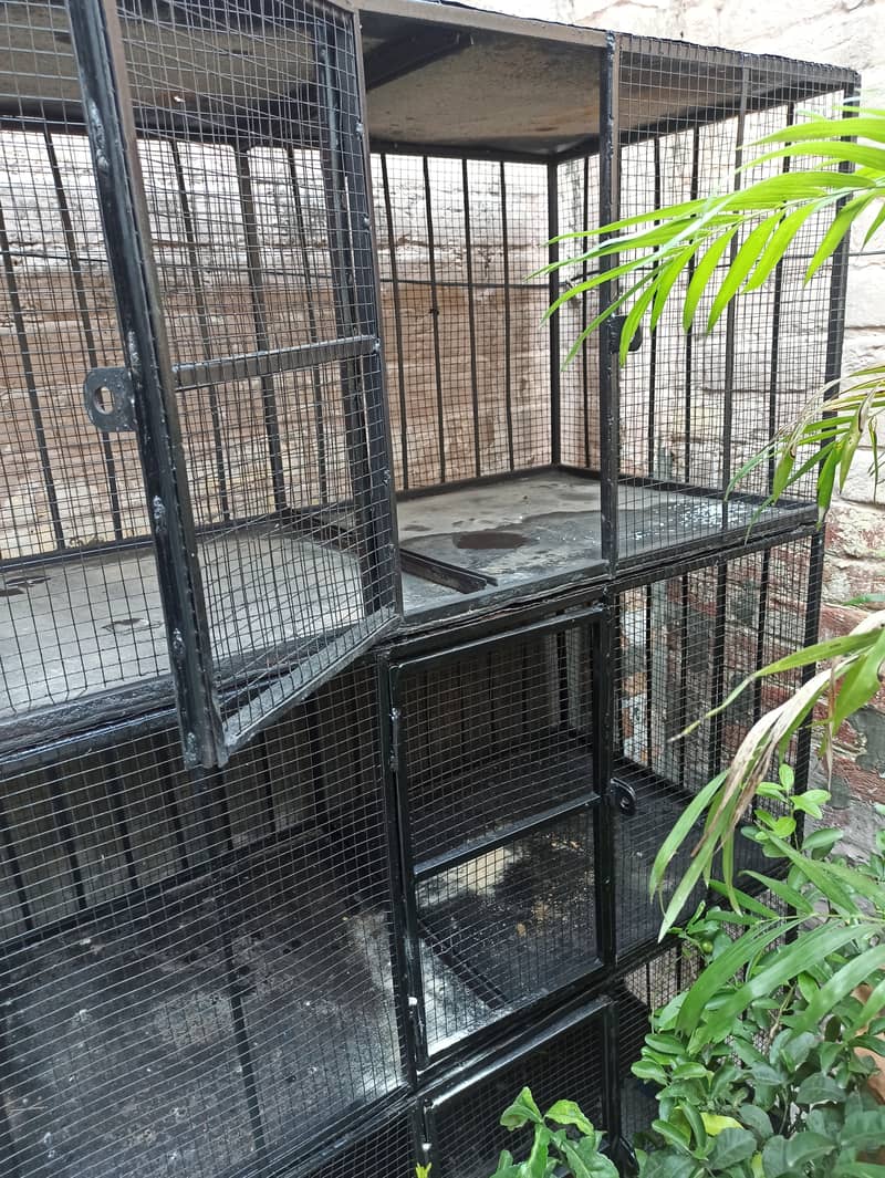 Pinjra/Cage for hens birds 0