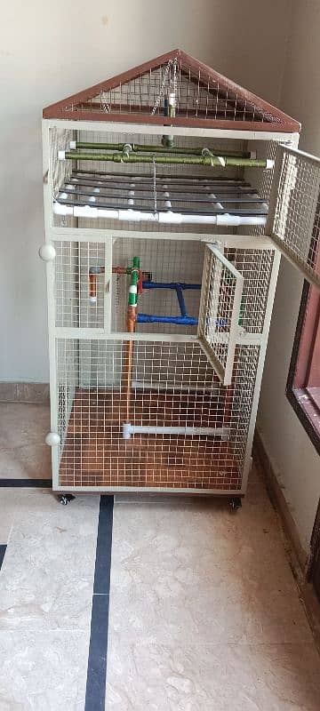 Parrot Cage 1