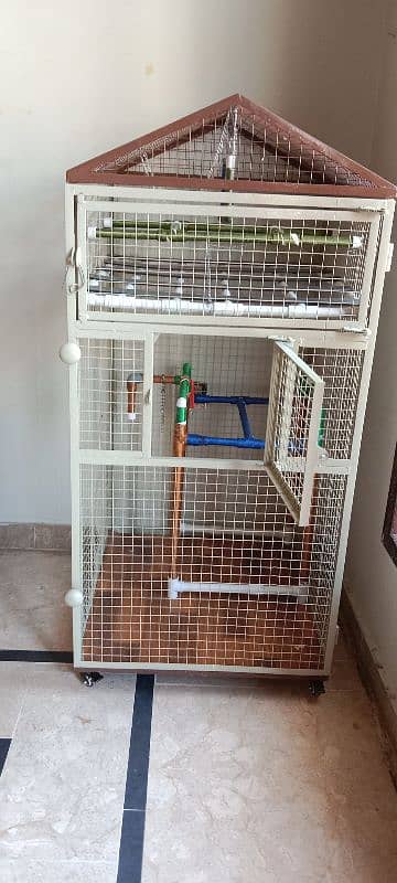 Parrot Cage 2