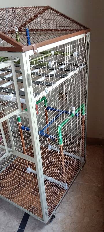 Parrot Cage 4