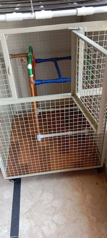 Parrot Cage 6