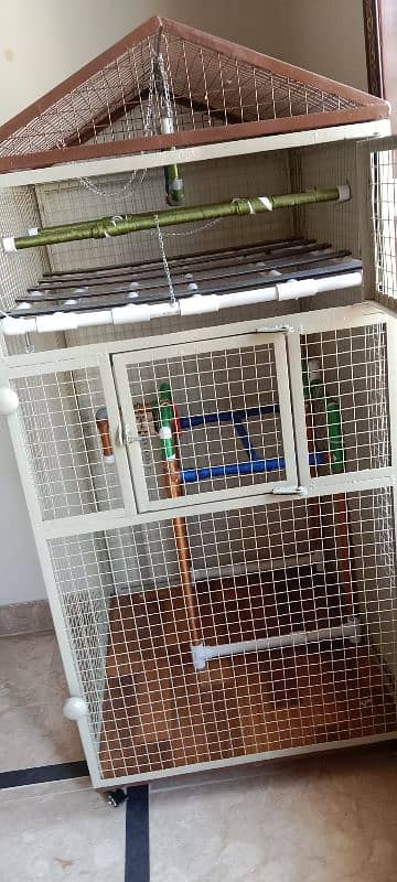 Parrot Cage 7