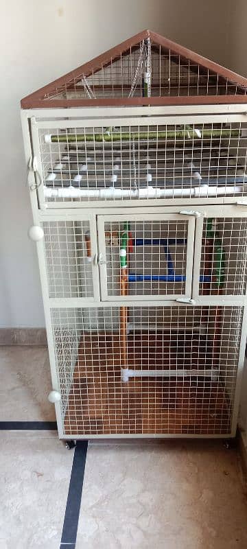 Parrot Cage 9