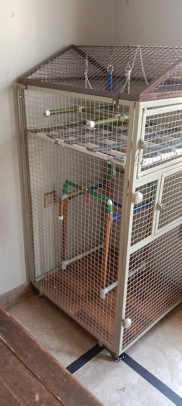 Parrot Cage 10