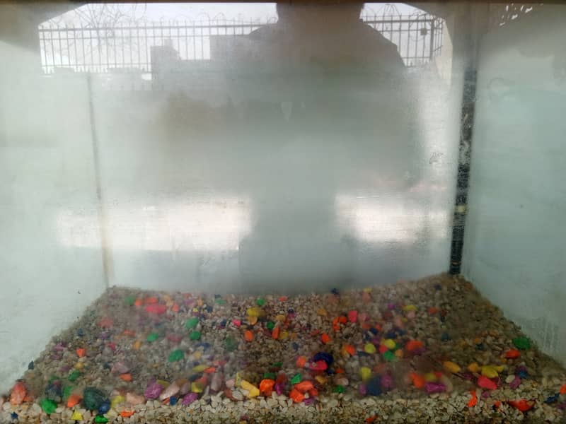 Aquarium for sale  in good condition 3