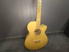 Professional Acoustic Guitar