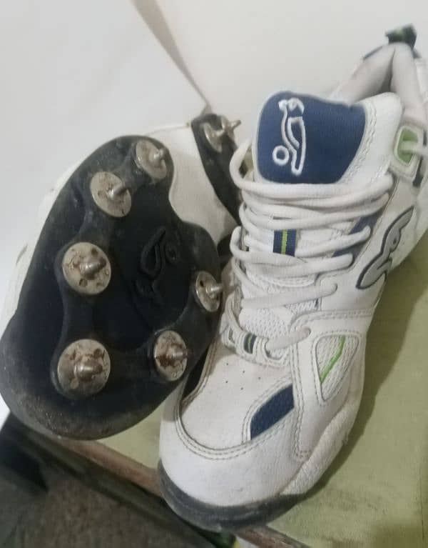 spikes shoes cricket 1