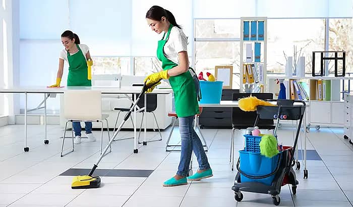 House cleaning services/Dry cleaning servicesSofa cleaning/carpet/Rug 1