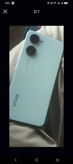 vivo