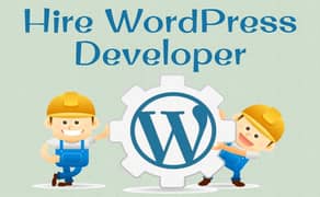 Wordpress Developer Needed