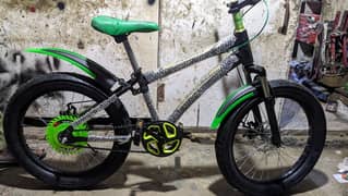 fat bike / bicycle