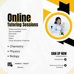 home and online tutoring service available