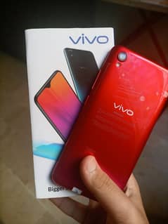 Vivo