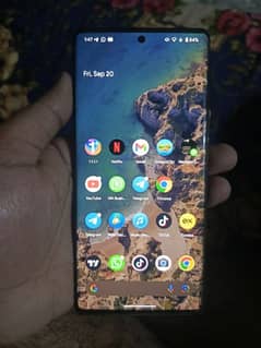 Pixel 6 Pro 10/10 No Issue