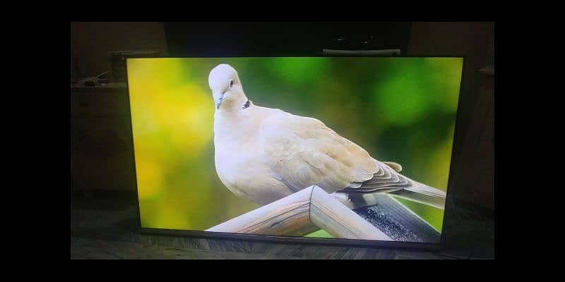 Samsung TV LED 5