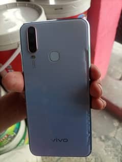 Vivo