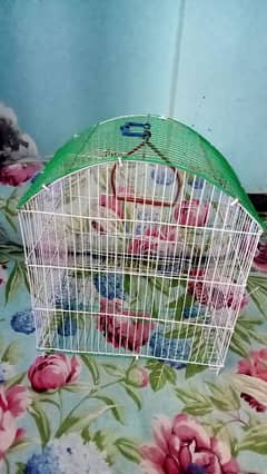 Cage Almost New hai