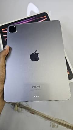 apple ipad pro 11 M2 0