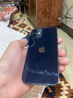 Iphone 12 mini