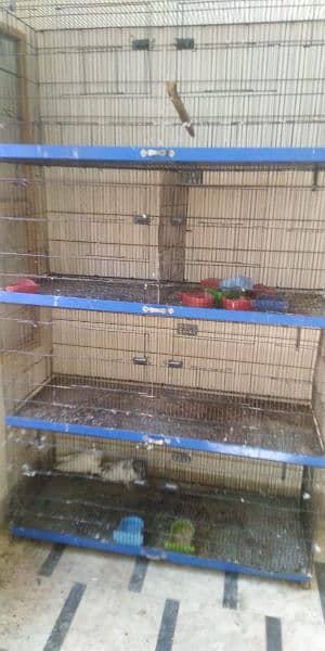 cage for parrot 0