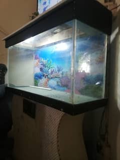 aquarium for sale