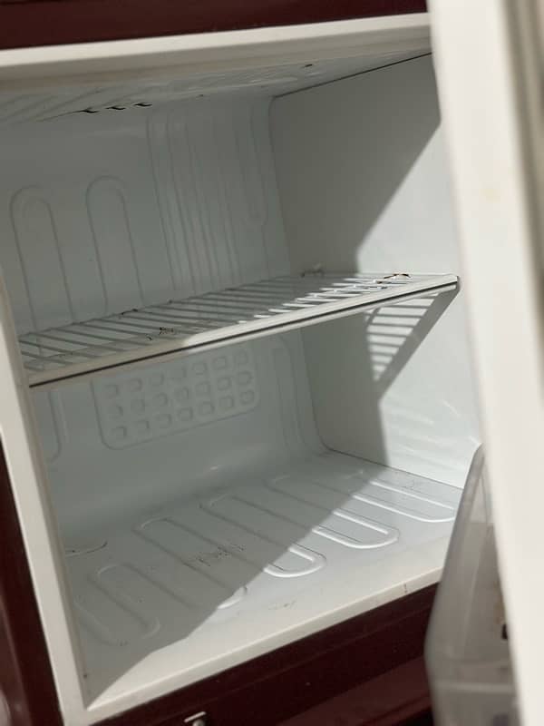 pel medium fridge 2