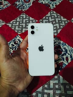 iphone 12 (10/10 4months sim time available 64gb Jv)