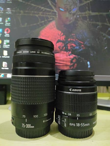 Canon 600d + 3 Lens (Canon 50mm, Canon 18-55mm, Canon 75-300mm) 6